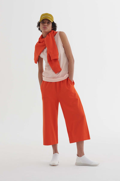 apricot1